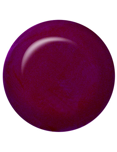 Just Gel IBD Color ARISTOCRATIC LADY 14 ml