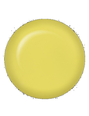 IBD PRO-LAQ ADV SAFARI NOT SAFARI 14ml